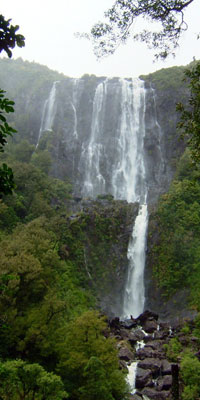 Wairere Falls, Waikato, New Zealand